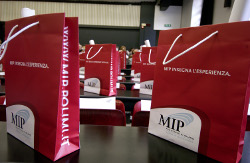 MIP International MBA