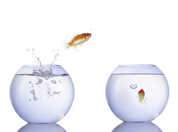 Tier 2 MBA Programs