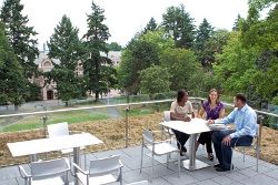 Unique Courses Foster MBA