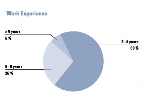 Mannheim Work Experience